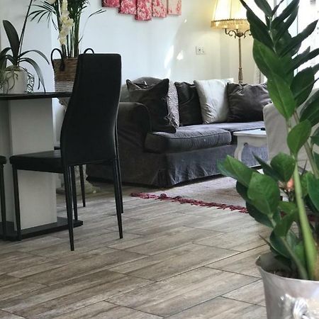 Garden Carras Leilighet Nice Eksteriør bilde
